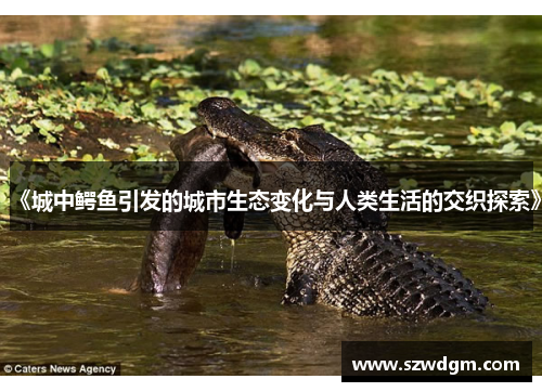 《城中鳄鱼引发的城市生态变化与人类生活的交织探索》