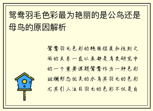 鸳鸯羽毛色彩最为艳丽的是公鸟还是母鸟的原因解析